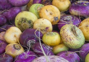 Ei ole hirveämmin tullut nautiskeltua nauriita, mutta pari maistiaista, koostumus muistuttaa omenaa, mutta siinä on tuoreen juureksen maku.